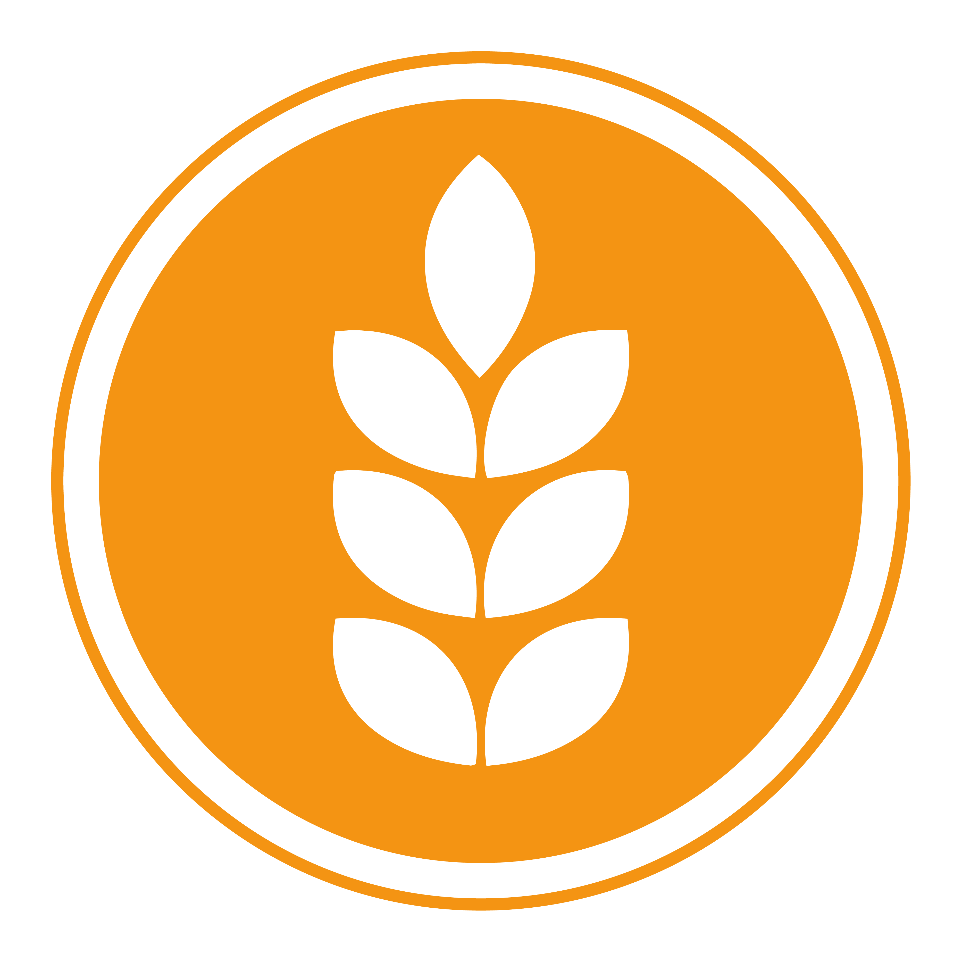Cereals containing gluten icon